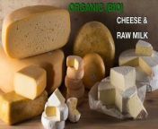Organic (Bio in Belgium ) cheeses &amp; raw milk&#60;br/&#62;&#60;br/&#62;https://www.keiemsekazen.be/web-in-opbouw/&#60;br/&#62;&#60;br/&#62;Questions: &#60;br/&#62;info@keiemsekazen.be &#60;br/&#62;or call 051 50 12 04&#60;br/&#62;