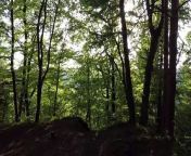 Beautiful Forest. from the sound of forest yessma episode