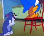 Tom And Jerry - Nit Witty Kitty