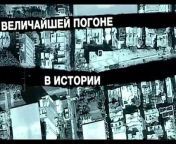 Zero Dark Thirty Bande-annonce (RU) from parno ru
